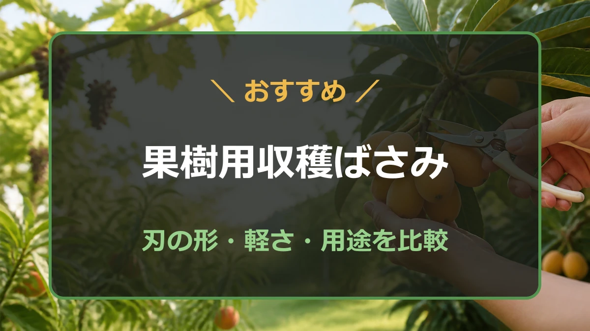 果実の軸を切る収穫ばさみを比較する記事のアイキャッチ