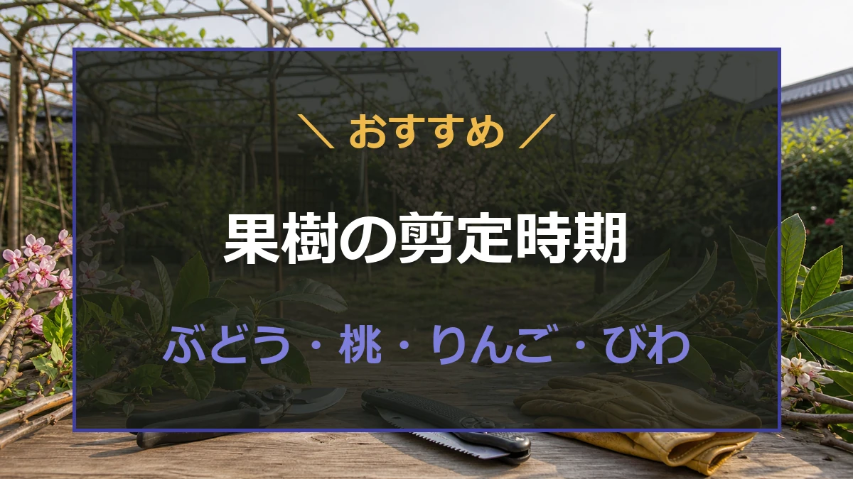 ぶどう・桃・りんご・びわの剪定時期と使う道具を確認する記事のアイキャッチ