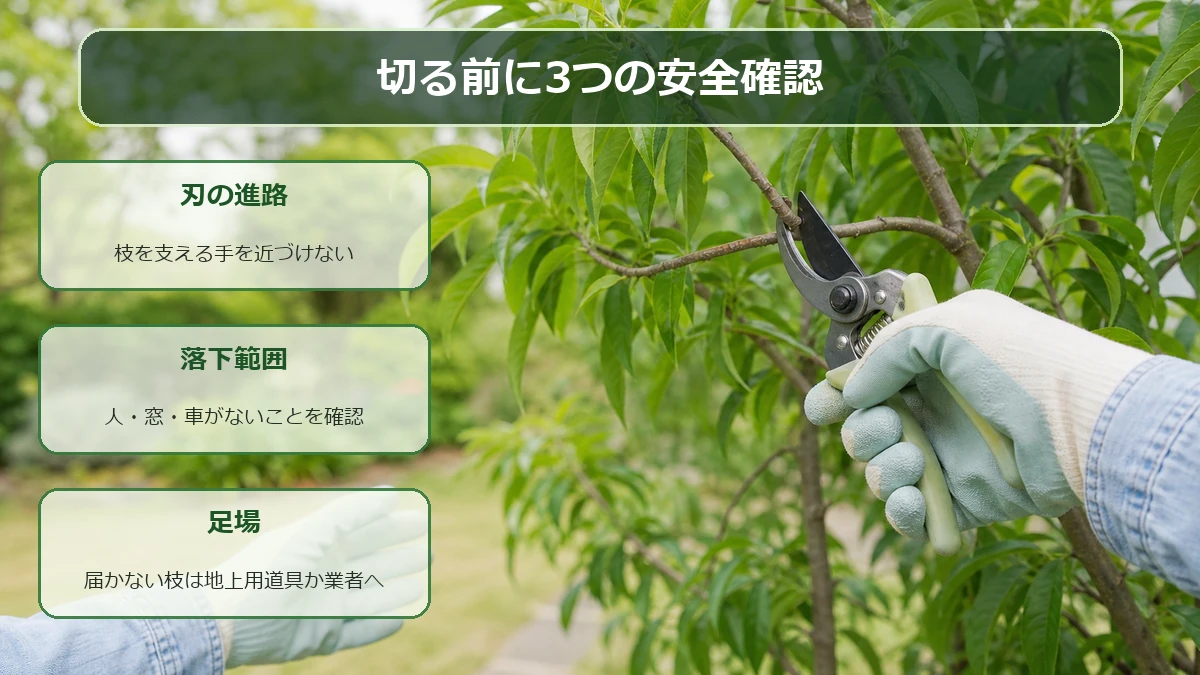 果樹を剪定する前に保護具、安定した足場、枝の落下先を確認する図解