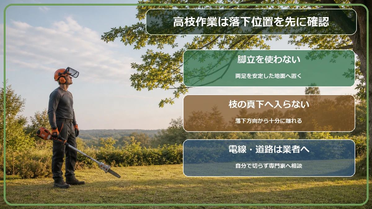 高枝チェーンソーを地上で構え、落下枝の真下と電線を避ける図解