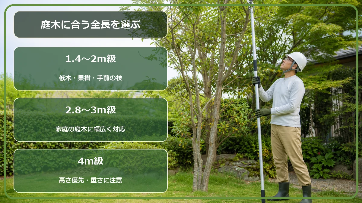 庭木の高さに合わせて1.4m級・3m級・4m級の高枝切りばさみを選ぶ目安