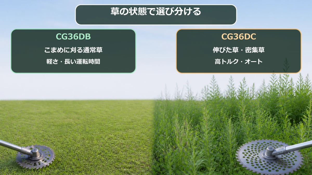 庭の通常草と密集草からCG36DBとCG36DCを選び分ける図解