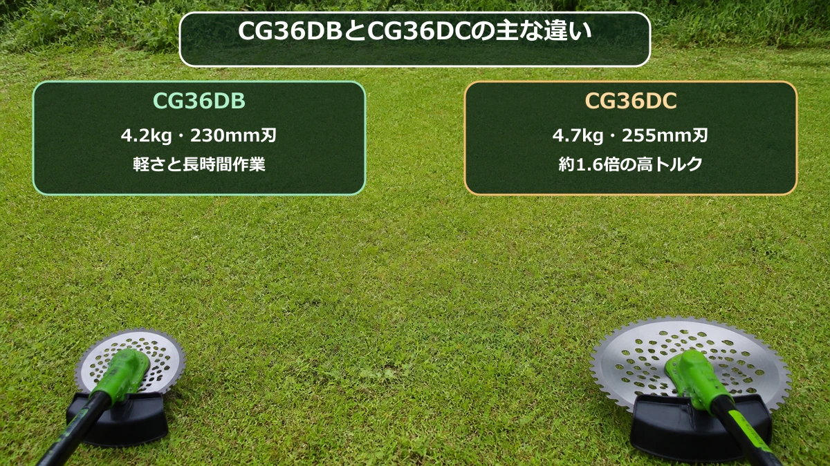 CG36DBとCG36DCの違いを軽さ・刃径・トルクで比較する図解