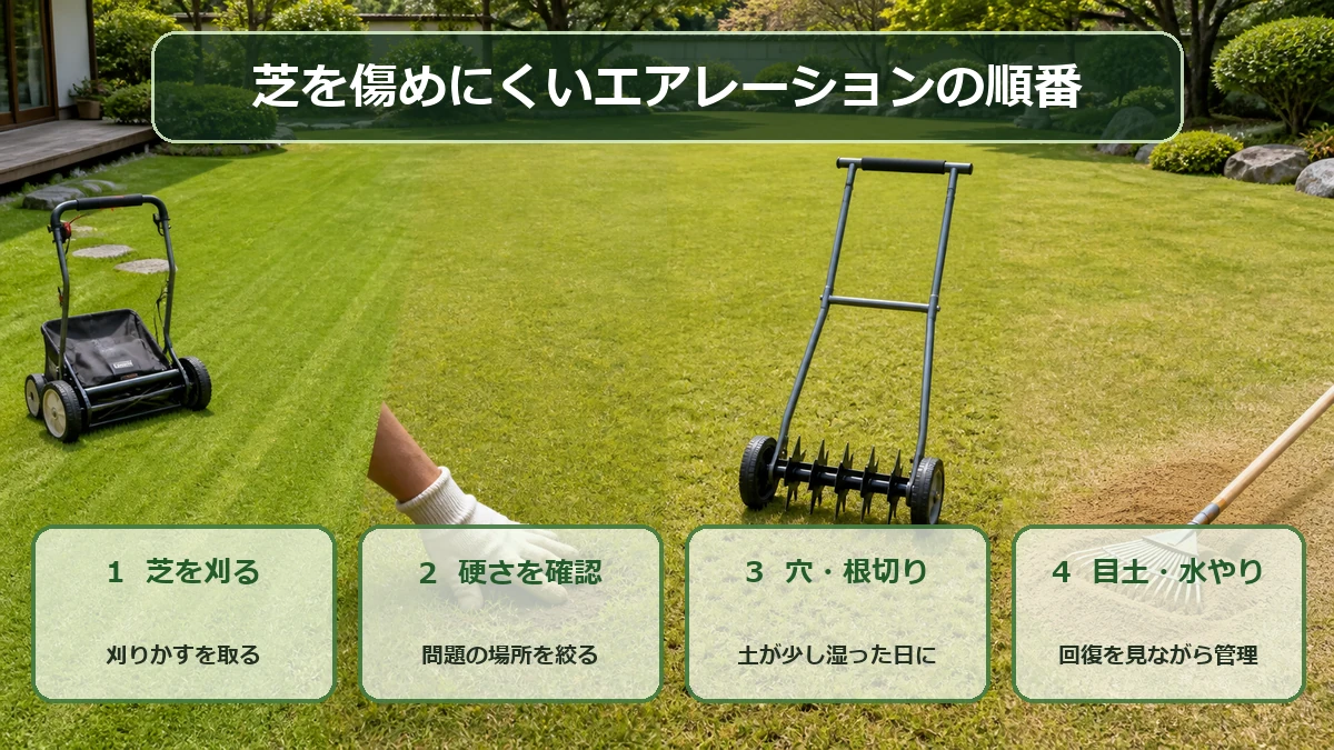 芝を刈る、硬い場所を探す、穴を開ける、目土と水やりを行う芝生エアレーションの手順図解
