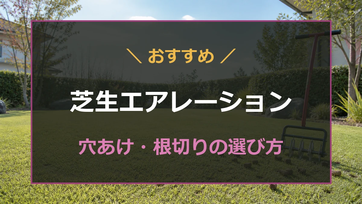 姫高麗芝へエアレーションを行う道具と選び方を紹介するアイキャッチ