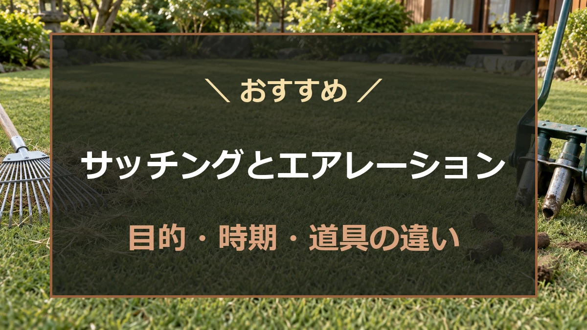 芝生に置いたレーキと穴あけ道具を背景にサッチングとエアレーションの違いを紹介