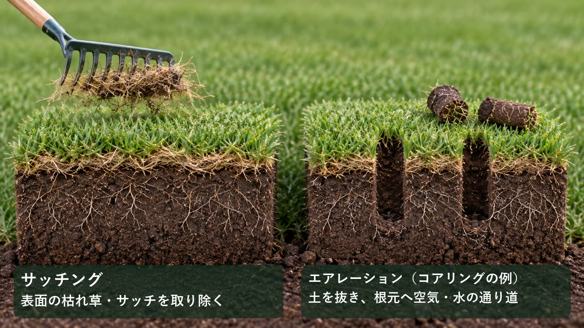 サッチングは表面の枯れ草を取り、コアリング式エアレーションは筒状の土を抜く違いを示す断面イメージ