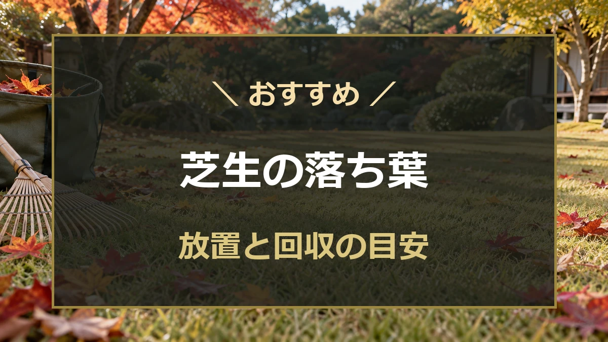 秋の芝生に散った落ち葉と、回収に使う熊手・ガーデンバッグ