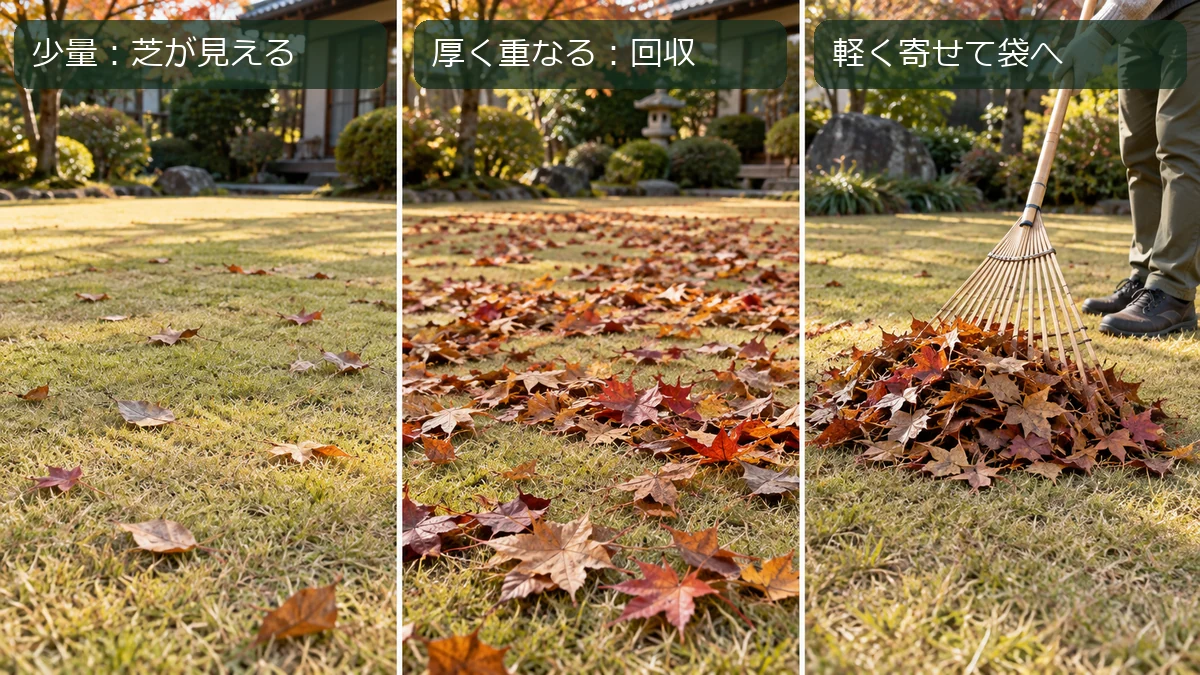 落ち葉が少ない芝生、葉が厚く重なった芝生、熊手で葉を回収する場面を並べた図解