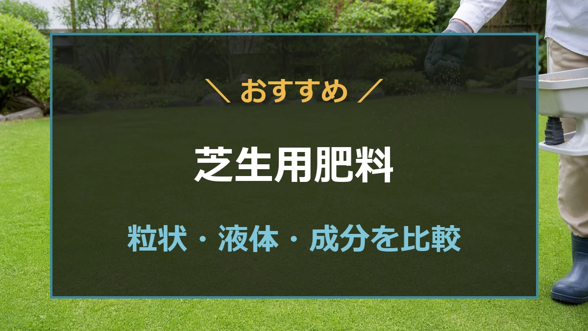 姫高麗芝へ粒状肥料をまく作業と芝生用肥料の選び方を紹介するアイキャッチ