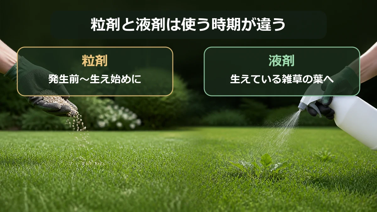 芝生用除草剤の粒剤と液剤を雑草の生育段階で使い分ける図解