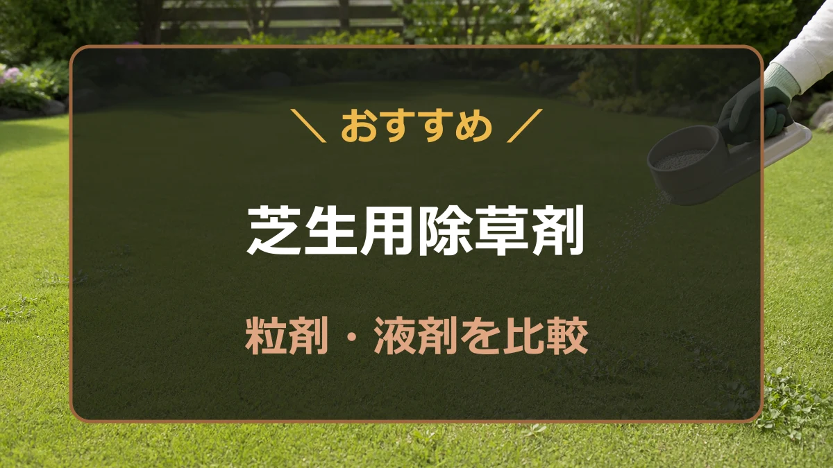 姫高麗芝へ粒状の芝生用除草剤を散布する様子と選び方を紹介するアイキャッチ