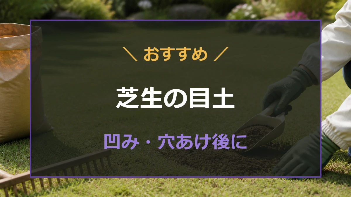 姫高麗芝へ目土を入れる手順と選び方を紹介するアイキャッチ