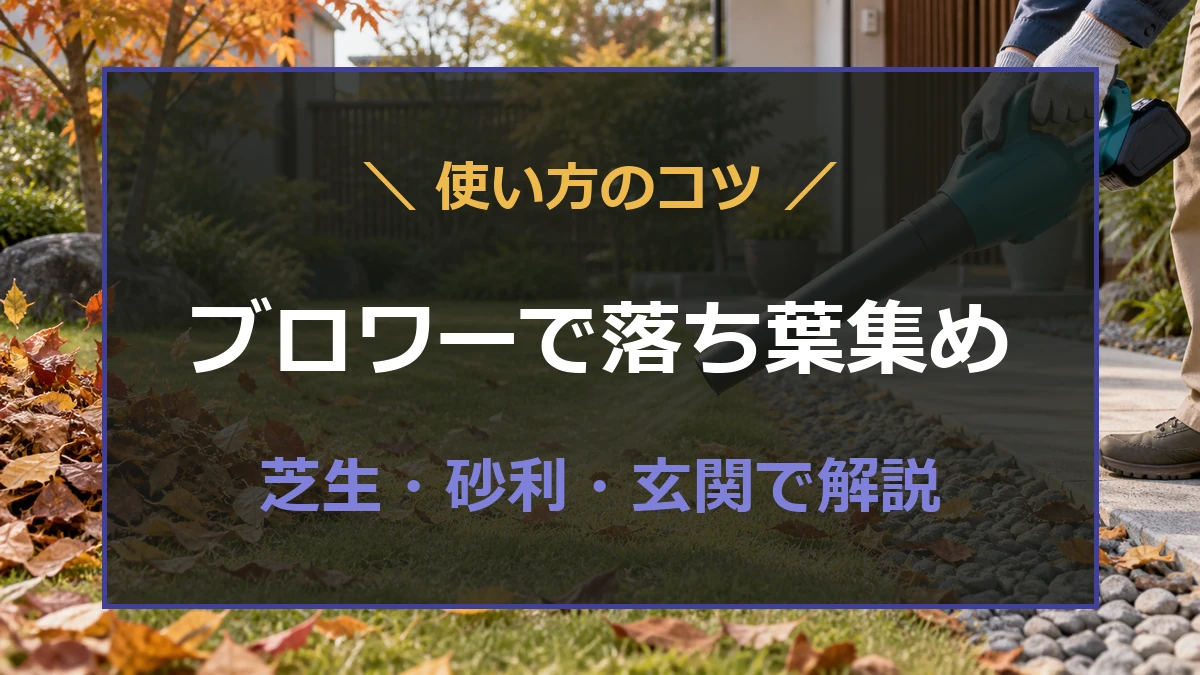 ブロワーで芝生と砂利から落ち葉を一か所へ集める方法を紹介するアイキャッチ