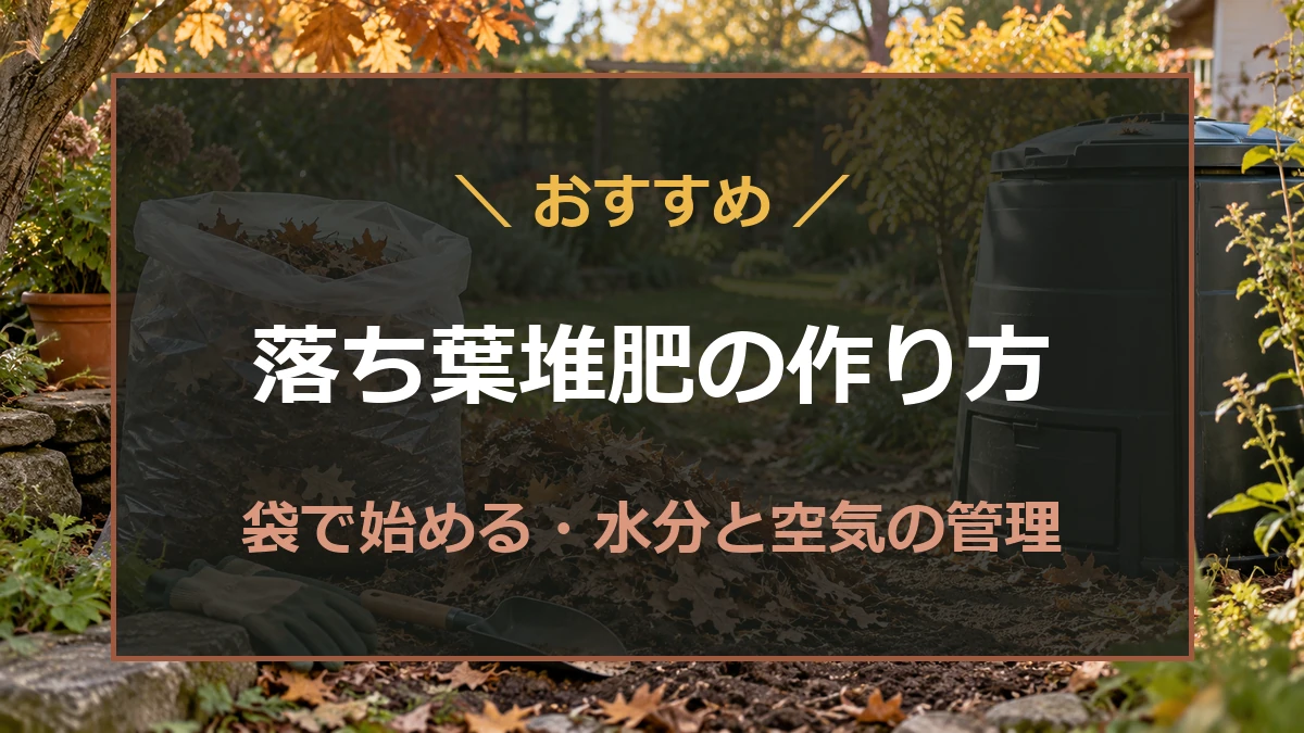 落ち葉を袋へ集め、庭で堆肥づくりを始めるイメージ