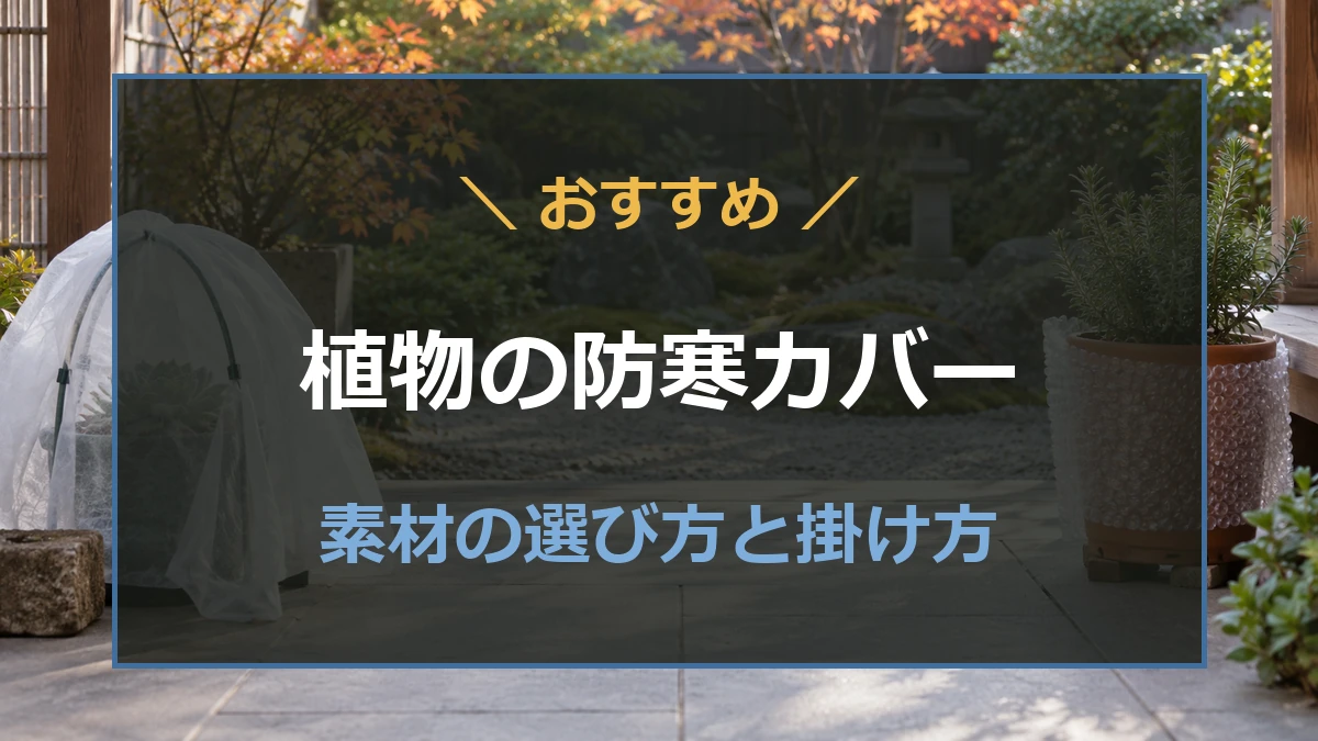 不織布で覆った植物と鉢の側面にプチプチを巻いた防寒のイメージ
