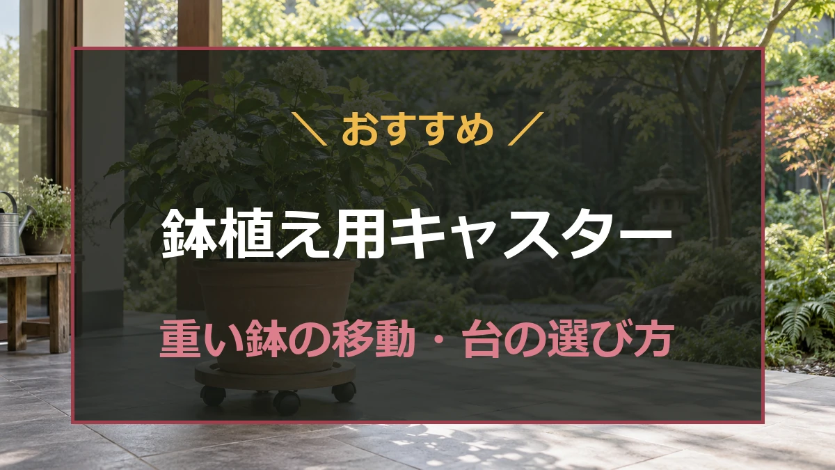 平らな床に置いたキャスター付きの台と鉢植え