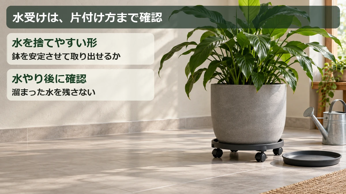 鉢を安定させたまま取り出せる水受けを選び、溜まった水を捨てる確認ポイント