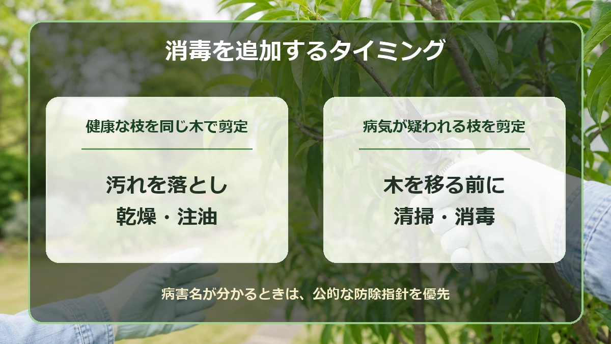健康な枝の剪定と病気が疑われる枝の剪定で消毒の必要性を分ける図解