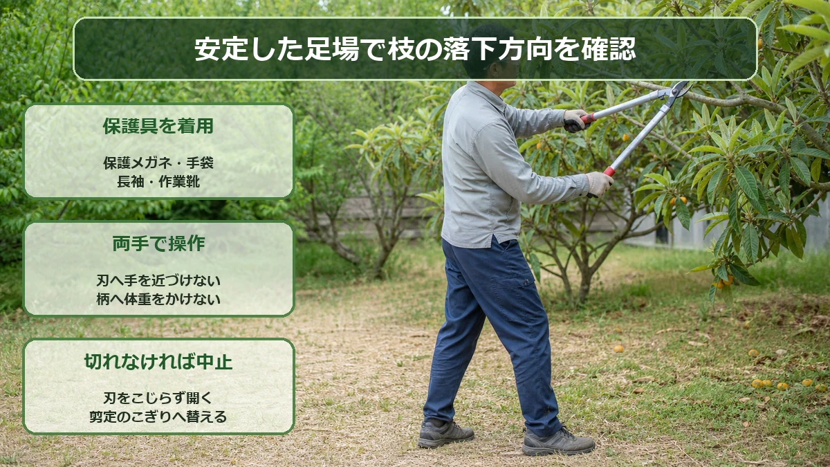 保護具を着けて安定した足場に立ち、太枝切りばさみを両手で安全に使うポイント