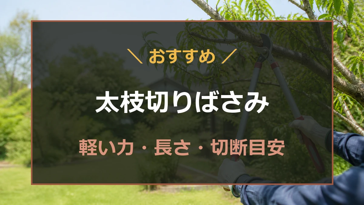 庭木の太枝を両手用の太枝切りばさみで剪定する記事のアイキャッチ