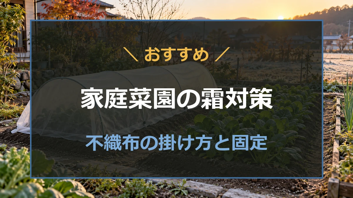 秋冬の家庭菜園で葉物野菜を覆う不織布トンネル
