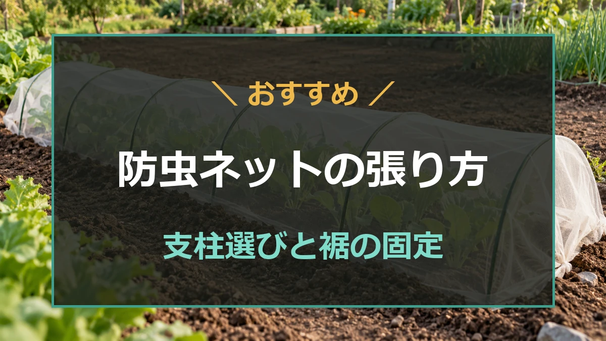 葉物野菜を覆う防虫ネットのトンネルを背景に、支柱と裾の固定を紹介するアイキャッチ