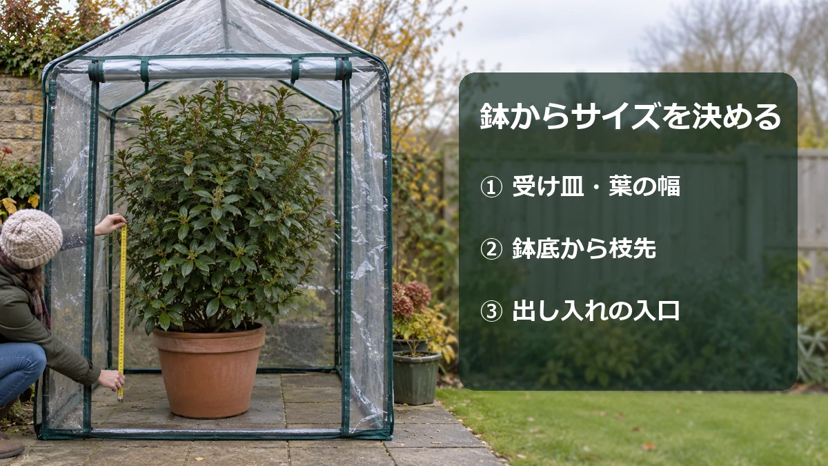 鉢の直径・枝先までの高さ・開口部を確認する温室選びの図解