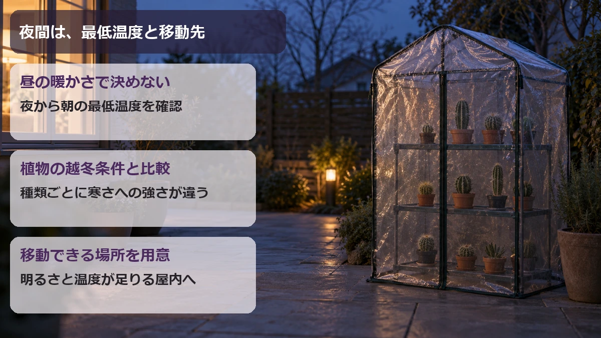 夜は最低温度を確認し、寒さに弱い鉢を移せる屋内の場所も用意しておく図解