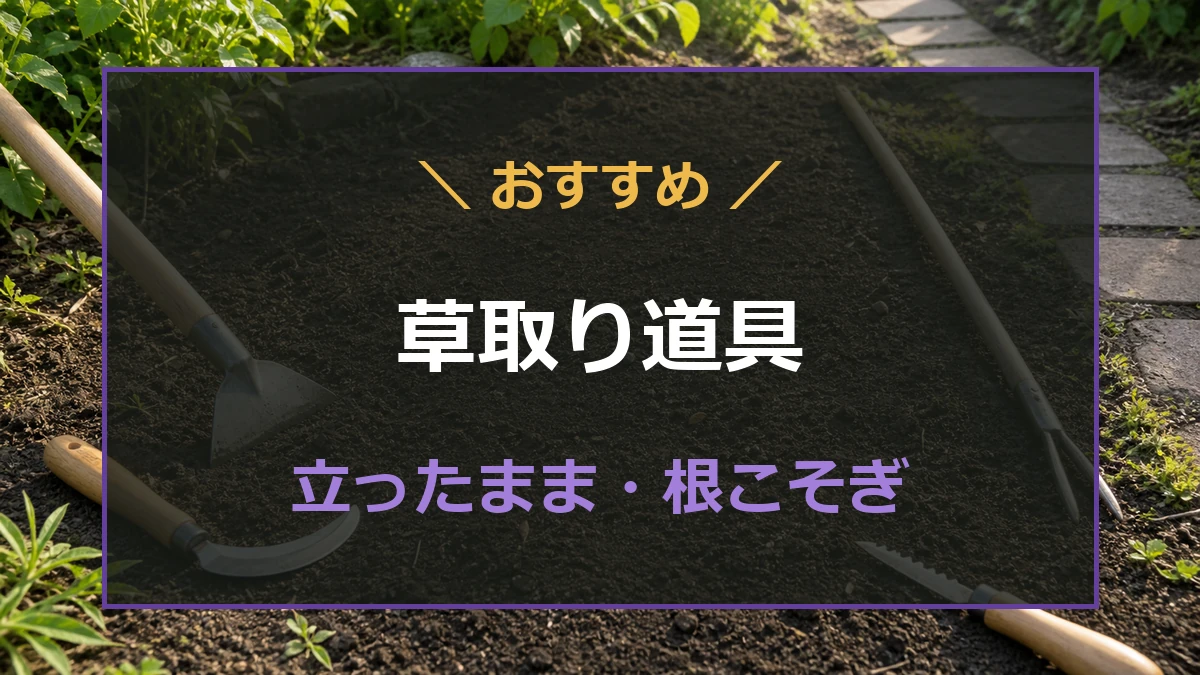 庭や畑で使う長柄の三角ホーと小型の草取り道具を比較する記事のアイキャッチ