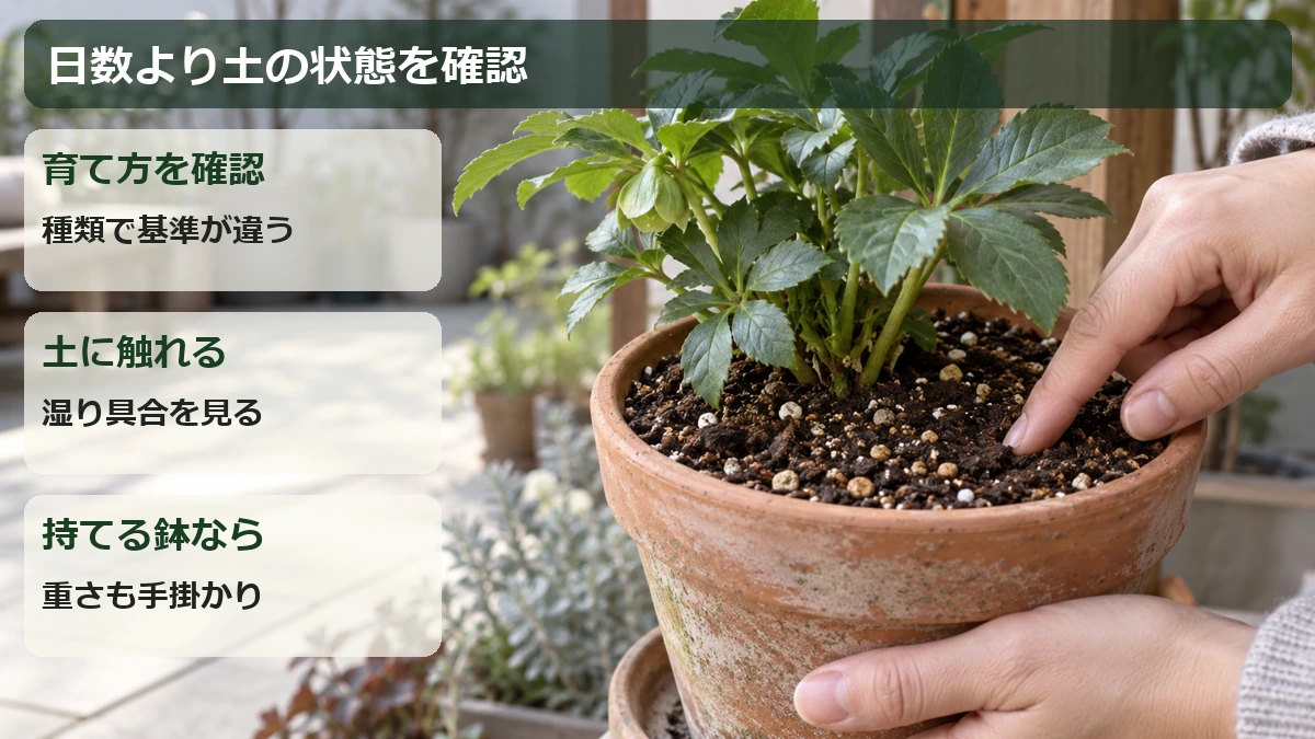 植物の育て方、土の湿り具合、鉢の重さを合わせて水やりを判断する図解