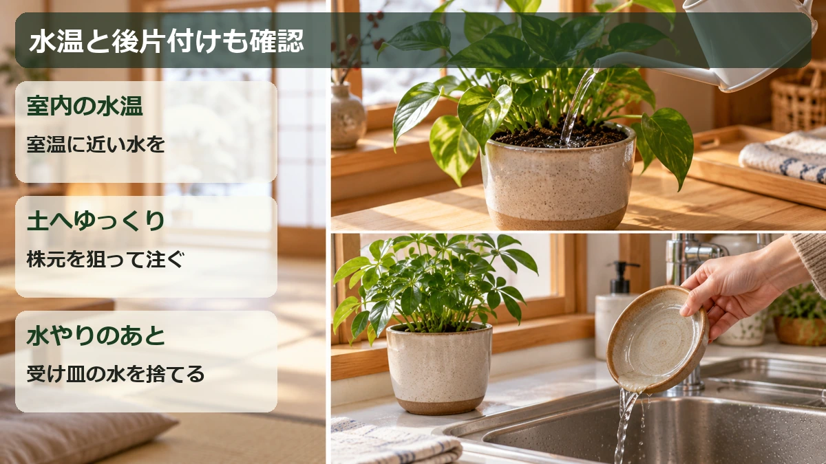 室温に近い水を株元へ注ぎ、水やり後は受け皿の余分な水を捨てる図解