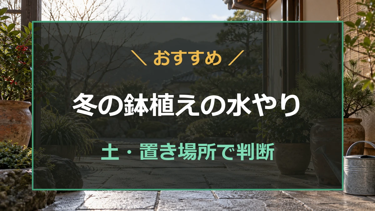 冬の軒下に置いた鉢植えとじょうろのイメージ