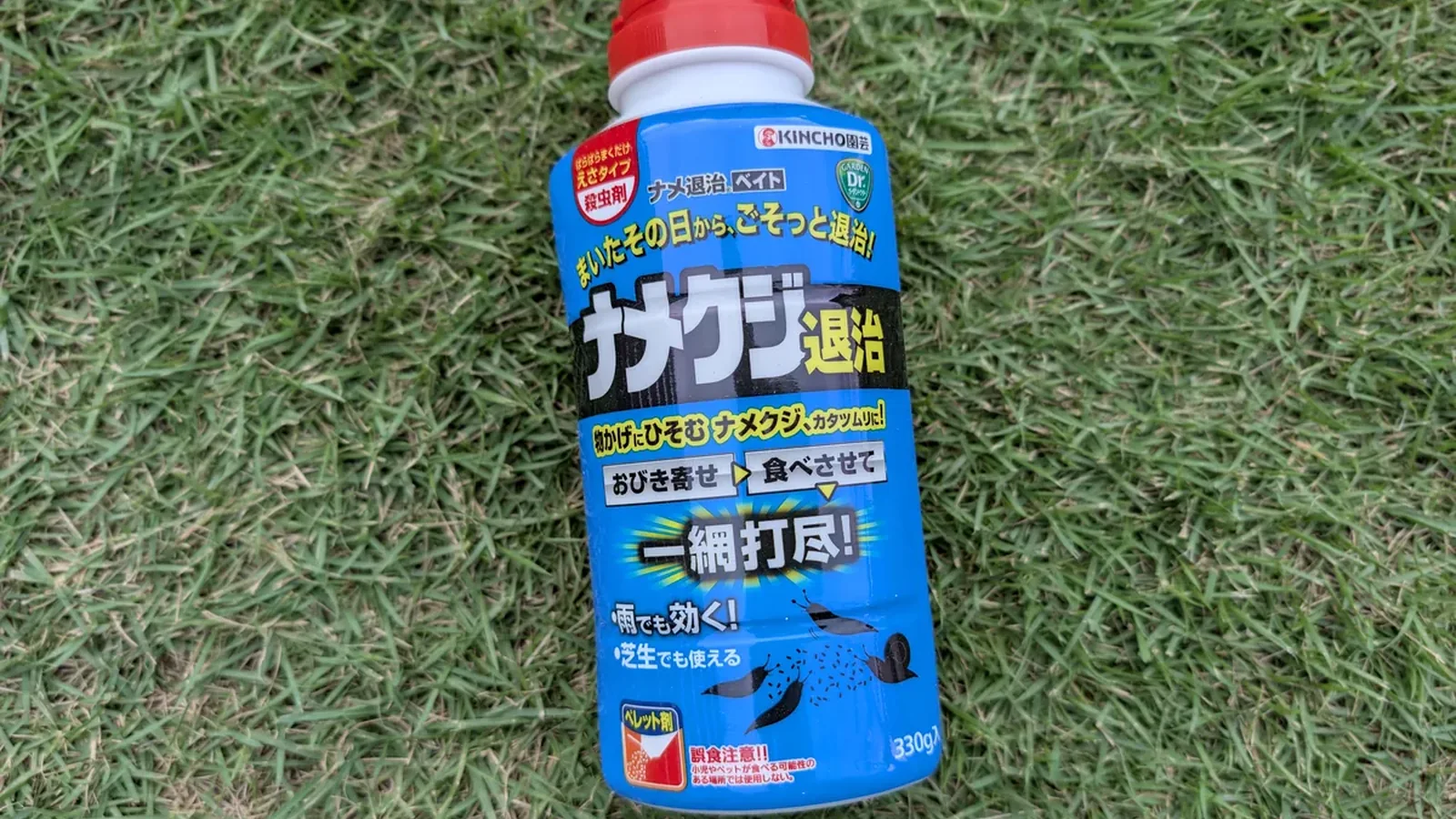 芝生の上に置いた筆者所有のKINCHO園芸ナメ退治ベイト330g