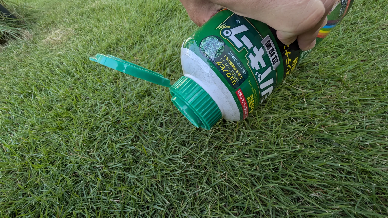 筆者宅の姫高麗芝へシバキープIII粒剤を散布する様子